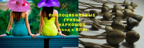 ALPHA PVP Богородск