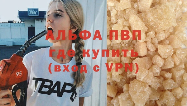 стафф Бронницы