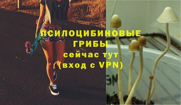 СК Богданович