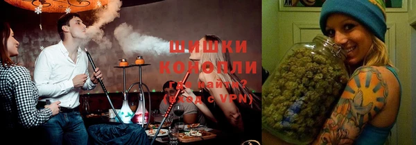 стафф Бородино